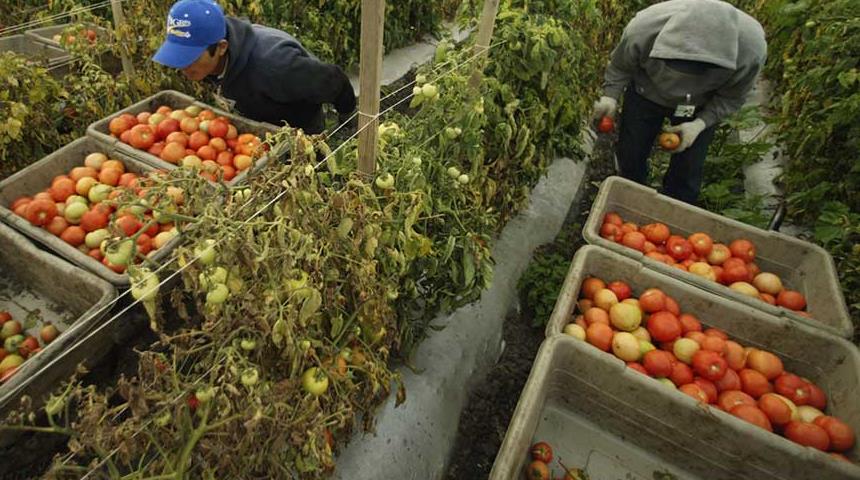 Caporalato, interrogazione in regione Lazio