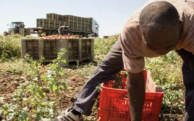 Flussi 2026-2028: pubblicato il decreto da 500 mila ingressi