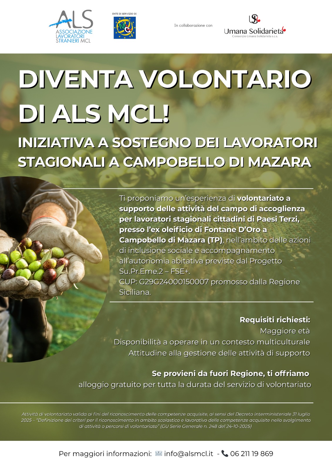 WhatsApp Image 2025-11-12 at 11.34.36