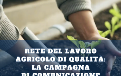 Lavoro regolare, filiere forti: la campagna per la Rete del Lavoro Agricolo di Qualità