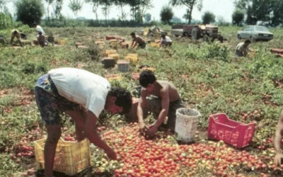 Cgia, un neoassunto su quattro è straniero