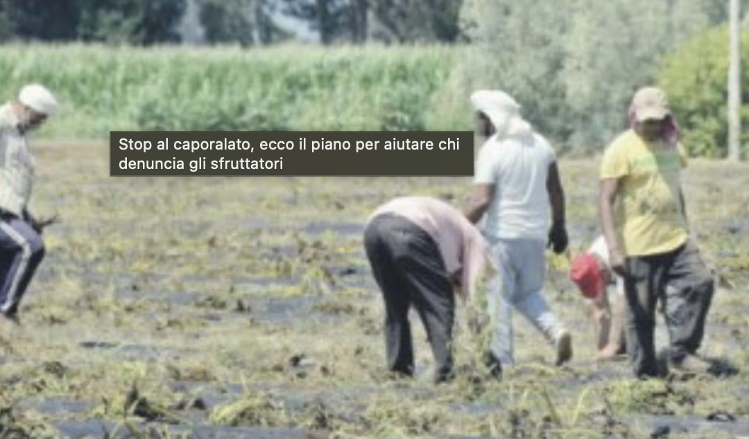 Stop al caporalato, ecco il piano per aiutare chi denuncia gli sfruttatori