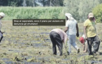 Stop al caporalato, ecco il piano per aiutare chi denuncia gli sfruttatori